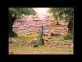 Sri Caitanya-caritamrta, Madhya 03 - Lord Sri Caitanya Mahaprabhu's Stay at the House of Advaita