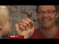 Finland's education success