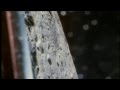 UNIDENTIFIED FLYING OBJECT UFO USO OVNİ VIDEO Default