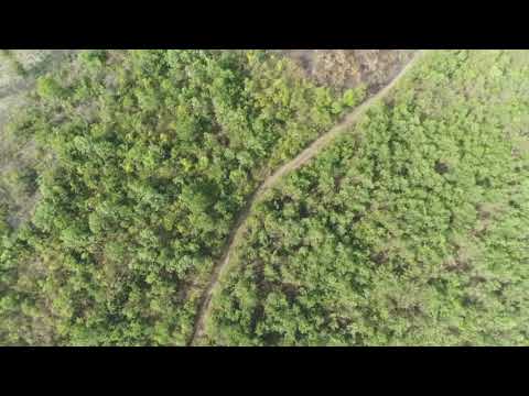    Video Lokasi Rencana Pengembangan Agroforestry (Jengkol kopi dan makadamia)