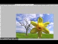 How To Use A Quick Selection Tool In Photoshop