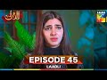 Laadli Episode 45 - 8 September 25 [Bilal Qureshi & Vaneeza & Asad Malik & Sukaina Khan] - HUM TV
