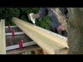 How to build a workbench - (Part 1) Laminating the top - with Paul Sellers