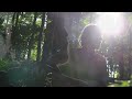Tony Dekker - Prayer of the Woods (Official Music Video)