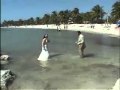 A Key West Smather&#39;s Beach Wedding Mark and Candace.mov