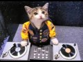 DJ JOE - Dugem Galau RAJA ENTERTAINMENT