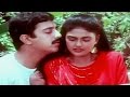 Naan Enbathu Nee Allavo Deva Deva - Kamal Haasan, Nirosha - Chitra