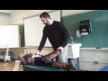 Patrcik's Test (FABER)