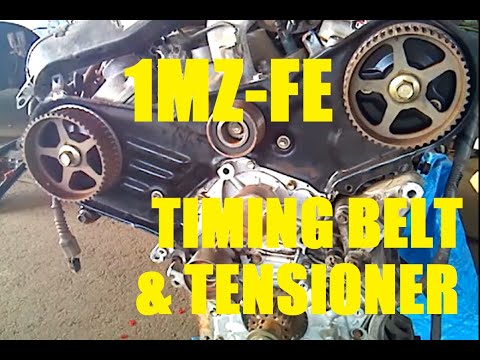 1mz timing belt