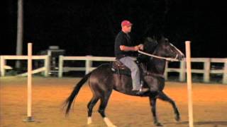 Bethel Road Saddle Club Adult Pole Riders Jesse 130726 