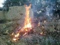 kadan walso .wmv