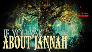 If You Ask About Jannah