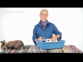 Can I Keep a Rabbit in My Child's Room? | Pet Rabbits