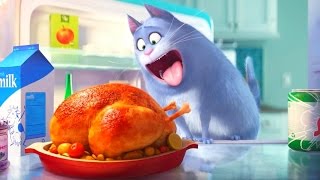 Тайная жизнь домашних животных (2016)