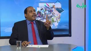 الحكومة لاتملك خطاب سياسي ورؤيتها انتهت في 11 أبريل - حسن إسماعيل | المشهد السوداني