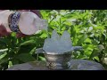 Instant Ice - Waterbending In Real Life!
