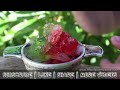 Instant Ice - Waterbending In Real Life!