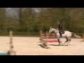 Unique Showjumper by Onze Fons - Bentley