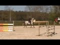Unique Showjumper by Onze Fons - Bentley