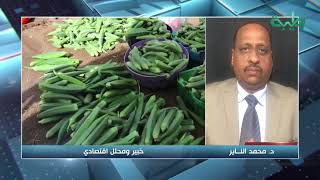 الخبير الاقتصادي محمد الناير  يشرح تأثيرات زيادة الدولار الجمركي | المشهد السوداني