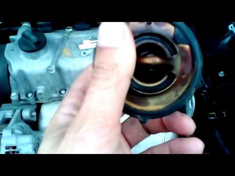 How to replace the thermostat (coolant) in ZAZ Forza. Practical tips