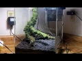 aquascaping a planted aquarium fluval flora nano fish tank with a dirt substrate