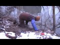 Beaver Trapping City Slicker Beaver 3