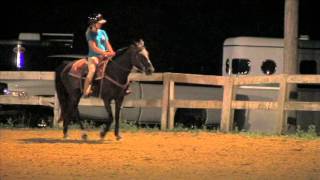 Bethel Road Saddle Club Western Pleasure Emily 130726 