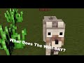 What Does The Wolf Say? - Minecraft Animation!