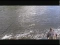 Lule River May 2010 - Sea trout and salmon fishing