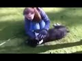 Vídeo incrível de um cão que acaba de Morrer volta à vida por um estranho