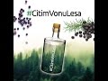 Emily & Justice - Cítim vôňu lesa (Borovička) (official music video) (prod. Marek Vozár) Obrázok autora