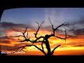 Norman Greenbaum - Spirit In The Sky w/ lyrics
