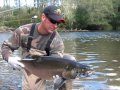 Humptulips River Salmon Fishing