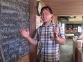 Vertical Hydroponic DIY System uses a Single Nutrient for Amazing Results