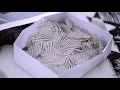 Making of the CHANEL Fall-Winter 2013/14 Haute Couture collection