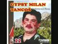 Gipsy Milan-Tancos.1 Obrázok autora