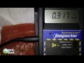 Radiation monitor Coho salmon 9-26-2012 | Organic Slant