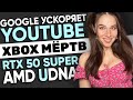  Telegram,  , AMD UDNA  RTX 50 Super,  Xbox   !