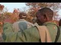 Lion Attacks Safari Hunter