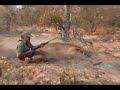 Lion Attacks Safari Hunter