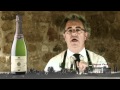 Catas Segura Viudas: Brut Vintage