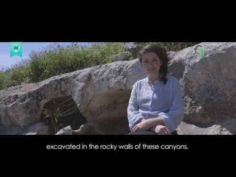 Yoga & Cooking Class in Eastern Sicily