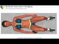 BEST Tone Buttocks exercise - Reduce buttocks and thighs with Bridging exercise