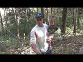 Double Recurve Bow Kills 2013 Reed & Toth