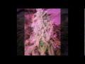 LED Grow Lights - 1512 x 1W LED Medical Marijuana Grow Light Review.mpg