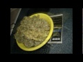 LED Grow Lights - 1512 x 1W LED Medical Marijuana Grow Light Review.mpg