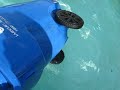 Dumpster Baby in the Pool
