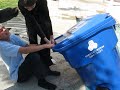 Dumpster Baby in the Pool