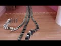 10,000 iPhone 5 Domino